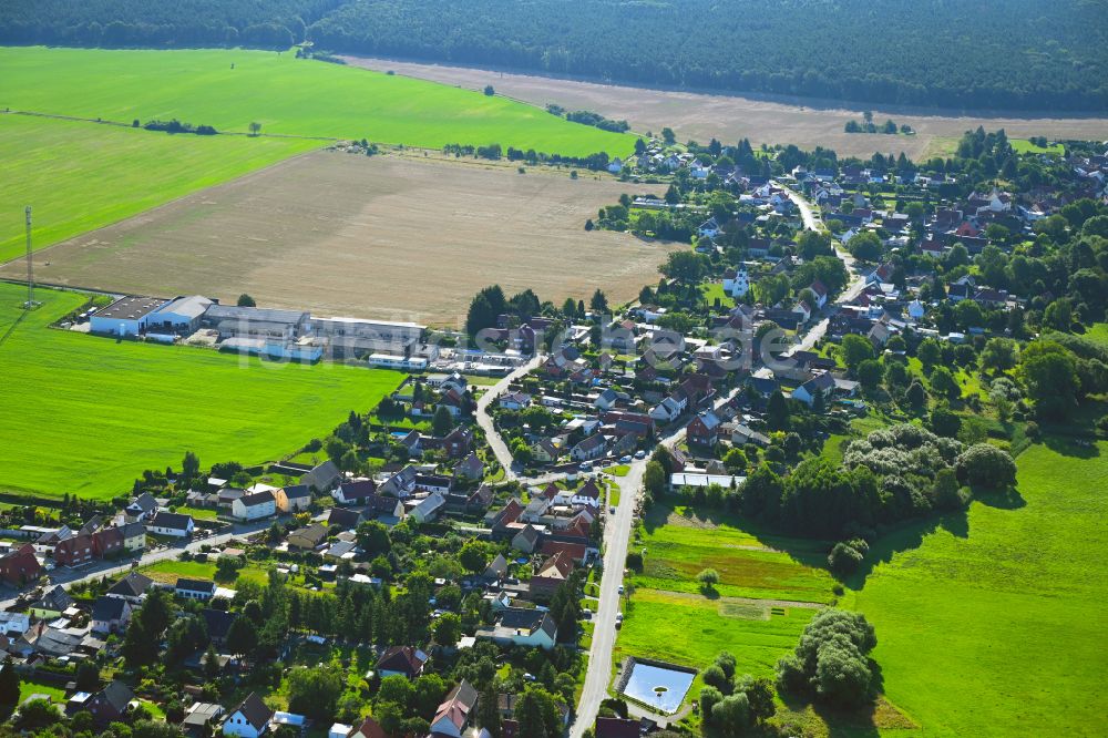 Luftaufnahme Schköna - Ortsansicht am Rande von landwirtschaftlichen Feldern in Schköna im Bundesland Sachsen-Anhalt, Deutschland