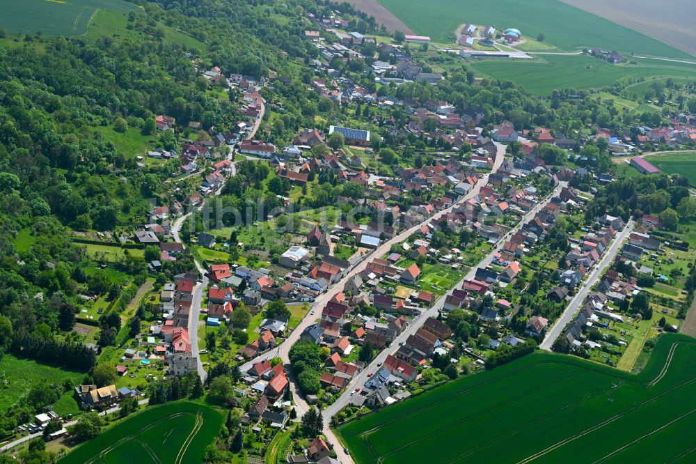 Schmalzerode von oben - Ortsansicht am Rande von landwirtschaftlichen Feldern in Schmalzerode im Bundesland Sachsen-Anhalt, Deutschland