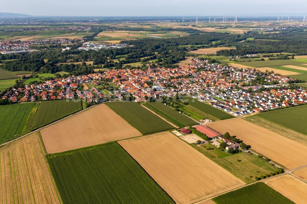 Steinweiler von oben - Ortsansicht am Rande von landwirtschaftlichen Feldern in Steinweiler im Bundesland Rheinland-Pfalz, Deutschland