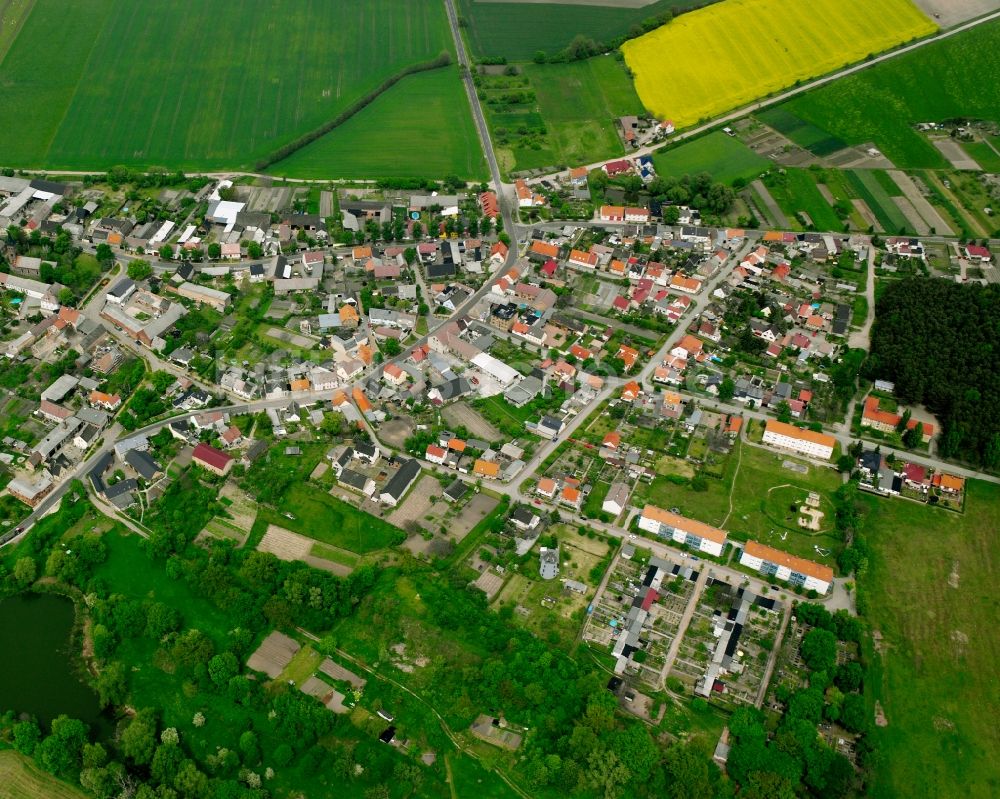 Steutz aus der Vogelperspektive: Ortsansicht am Rande von landwirtschaftlichen Feldern in Steutz im Bundesland Sachsen-Anhalt, Deutschland