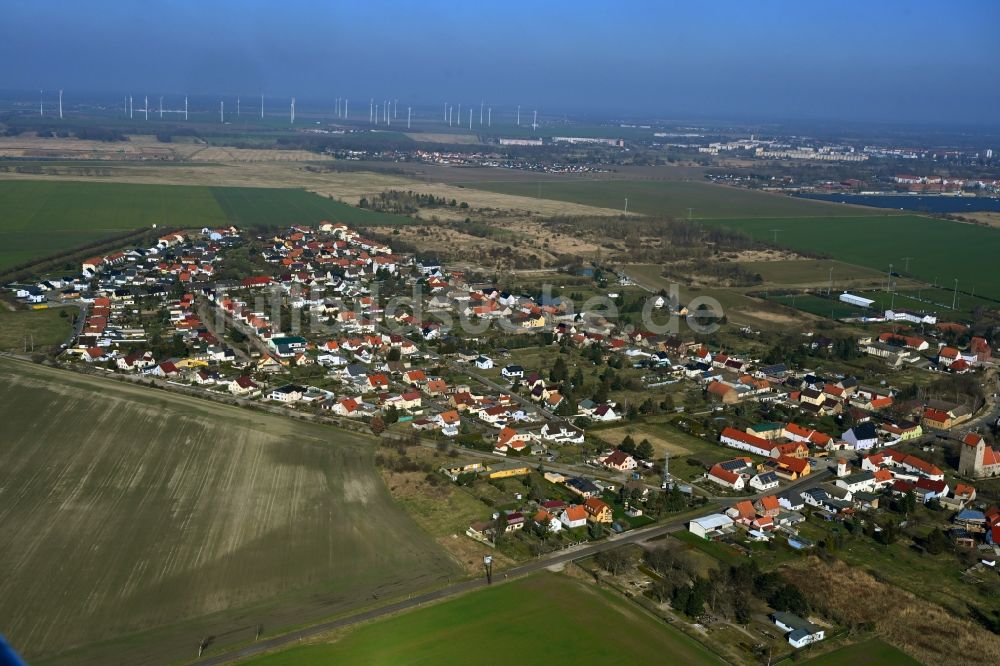 Thalheim von oben - Ortsansicht am Rande von landwirtschaftlichen Feldern in Thalheim im Bundesland Sachsen-Anhalt, Deutschland