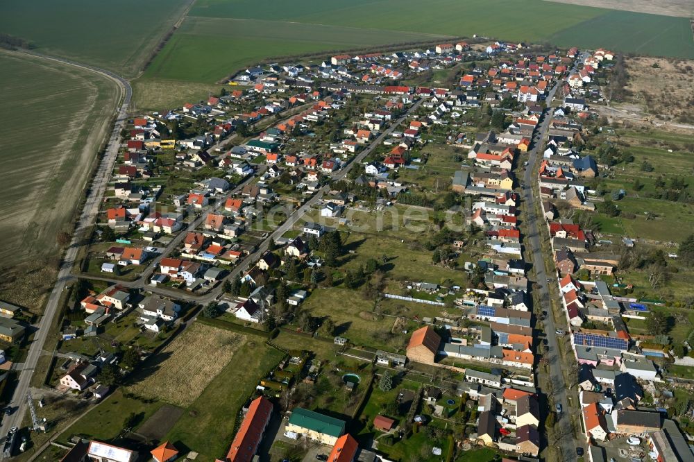 Thalheim von oben - Ortsansicht am Rande von landwirtschaftlichen Feldern in Thalheim im Bundesland Sachsen-Anhalt, Deutschland