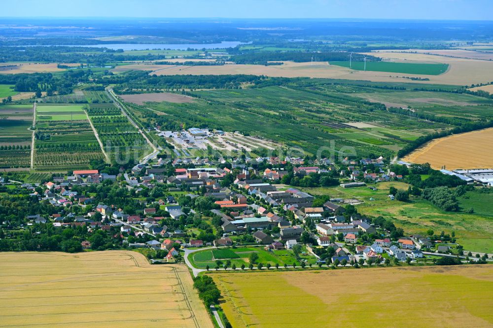 Tremmen aus der Vogelperspektive: Ortsansicht am Rande von landwirtschaftlichen Feldern in Tremmen im Bundesland Brandenburg, Deutschland