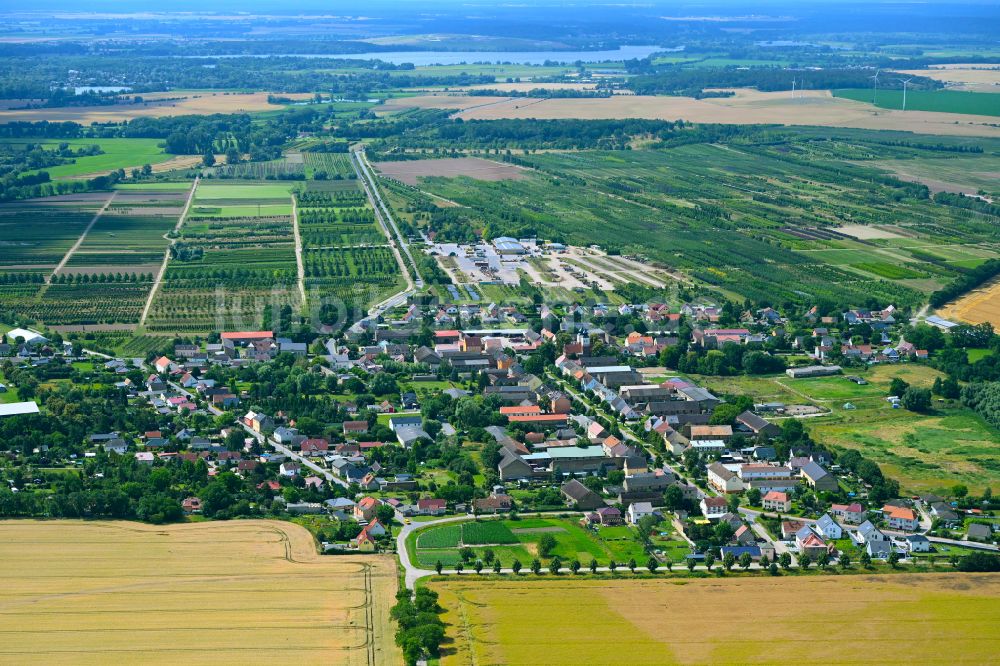 Luftbild Tremmen - Ortsansicht am Rande von landwirtschaftlichen Feldern in Tremmen im Bundesland Brandenburg, Deutschland