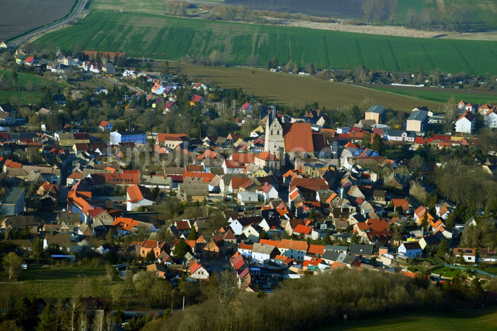 Luftbild Wettin-Löbejün - Ortsansicht am Rande von landwirtschaftlichen Feldern in Wettin-Löbejün im Bundesland Sachsen-Anhalt, Deutschland