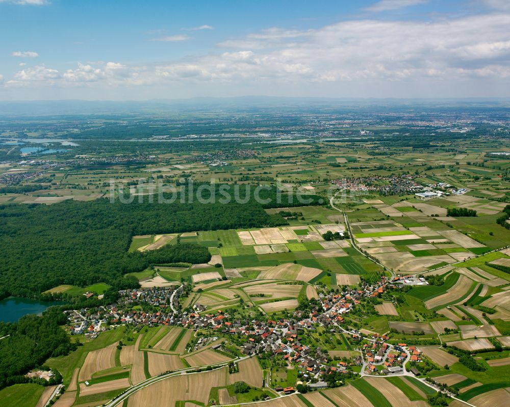 Luftbild Willstätt - Ortsansicht am Rande von landwirtschaftlichen Feldern in Willstätt im Bundesland Baden-Württemberg, Deutschland