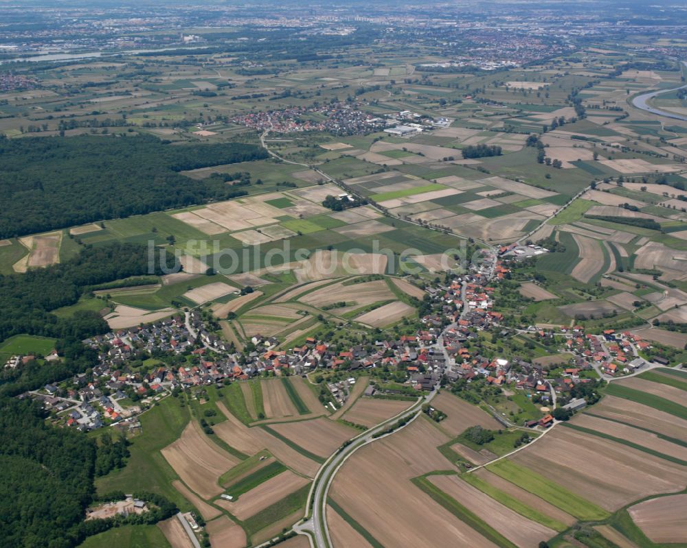 Luftaufnahme Willstätt - Ortsansicht am Rande von landwirtschaftlichen Feldern in Willstätt im Bundesland Baden-Württemberg, Deutschland