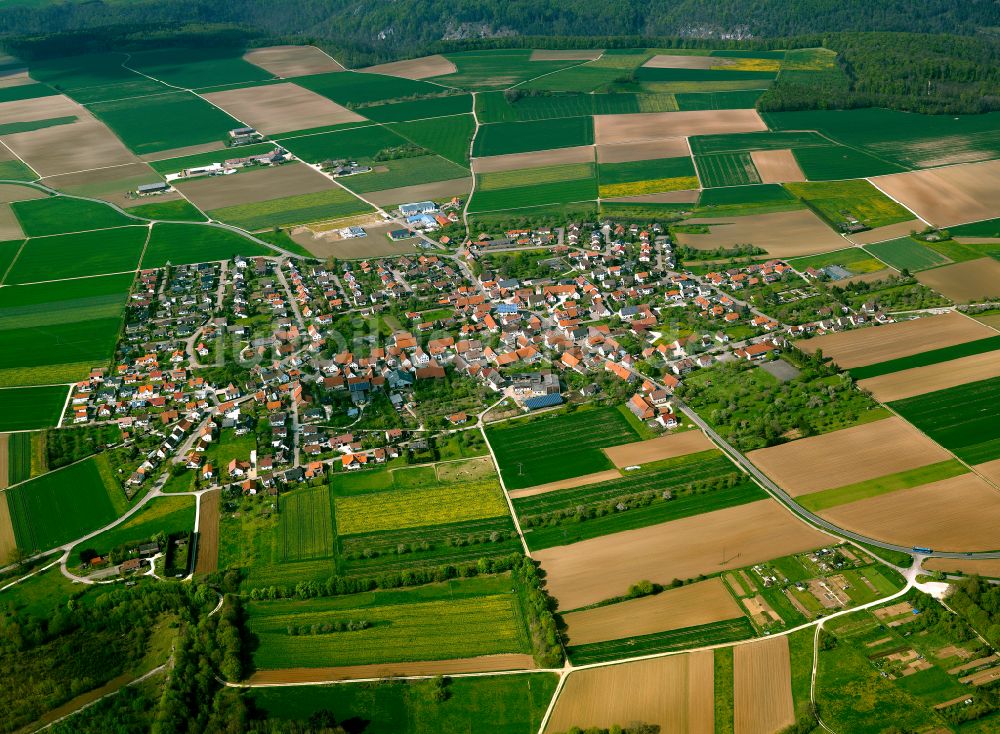 Wippingen von oben - Ortsansicht am Rande von landwirtschaftlichen Feldern in Wippingen im Bundesland Baden-Württemberg, Deutschland