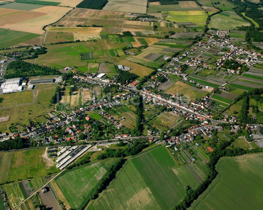 Zerbst/Anhalt von oben - Ortsansicht am Rande von landwirtschaftlichen Feldern in Zerbst/Anhalt im Bundesland Sachsen-Anhalt, Deutschland