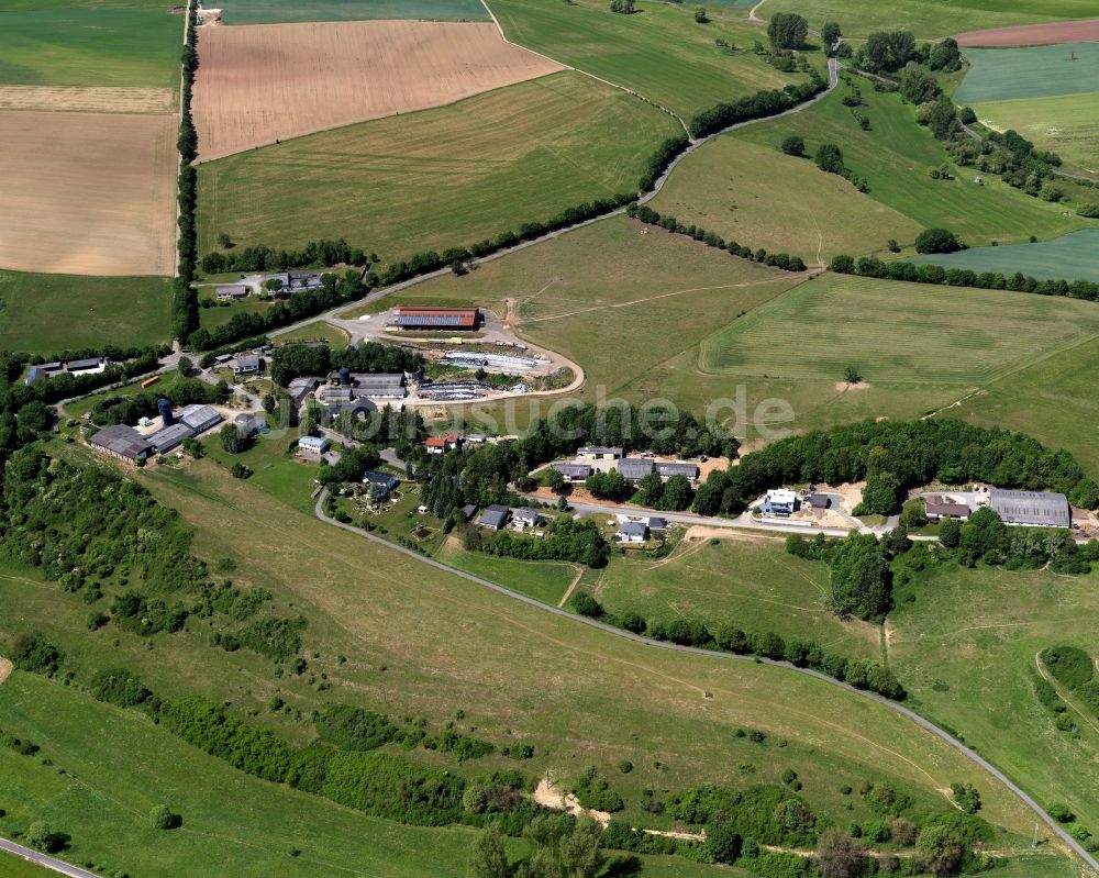 Rehbach von oben - Ortsansicht von Rehbach im Bundesland Rheinland-Pfalz