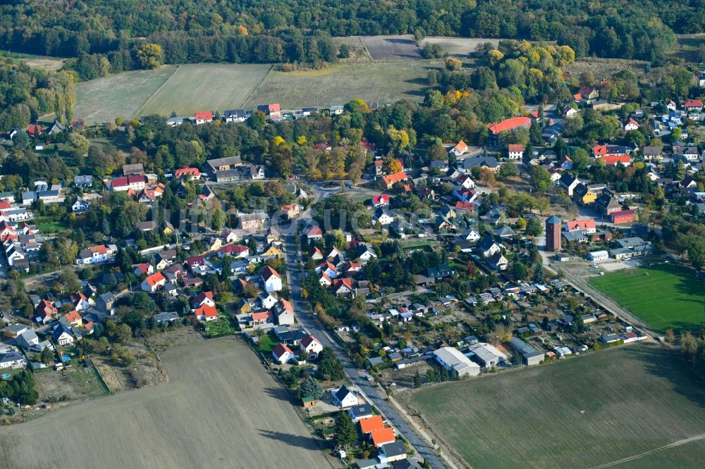 Reinsdorf von oben - Ortsansicht in Reinsdorf im Bundesland Sachsen-Anhalt, Deutschland