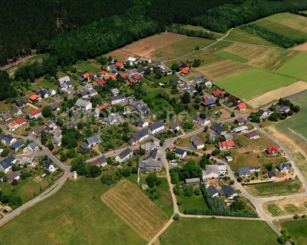 Rinzenberg von oben - Ortsansicht von Rinzenberg im Bundesland Rheinland-Pfalz