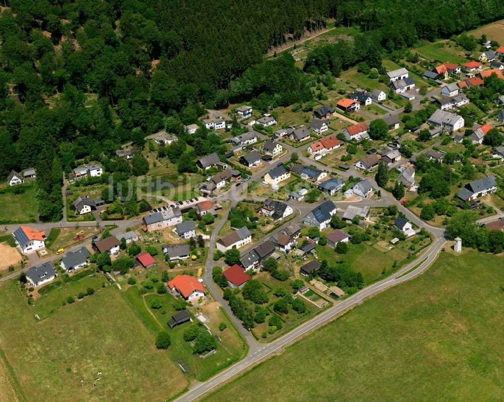 Rinzenberg aus der Vogelperspektive: Ortsansicht von Rinzenberg im Bundesland Rheinland-Pfalz