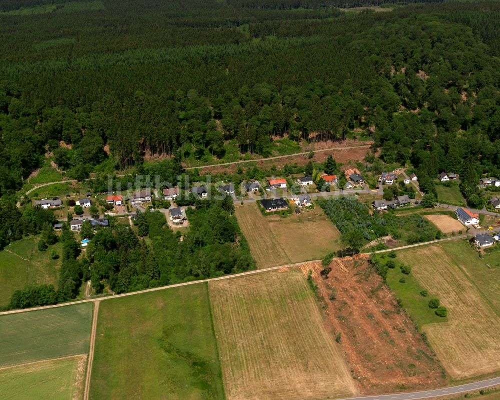 Luftbild Rinzenberg - Ortsansicht von Rinzenberg im Bundesland Rheinland-Pfalz