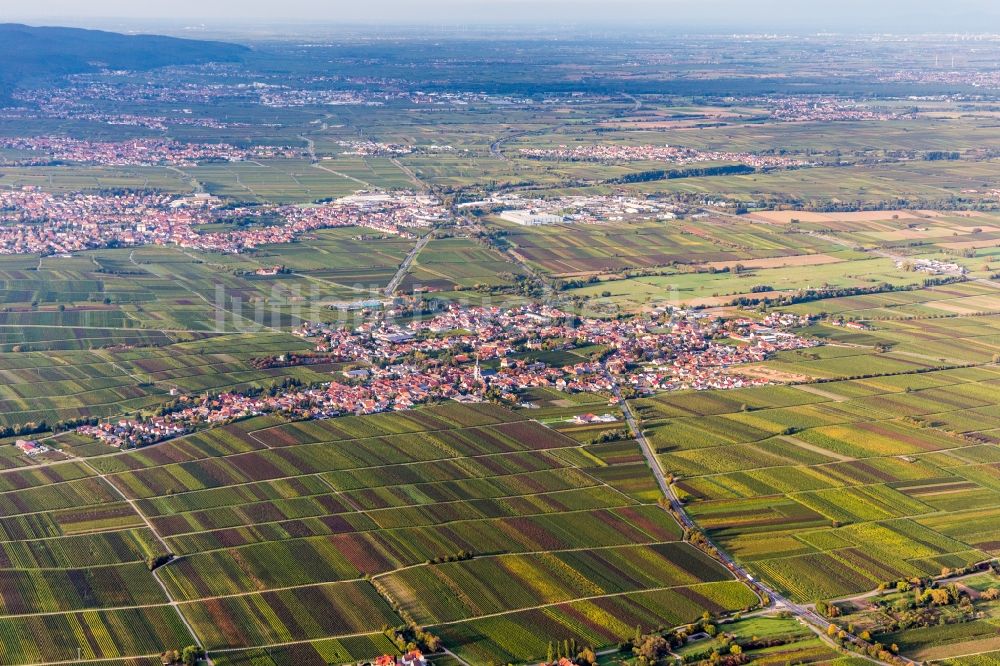 Roschbach von oben - Ortsansicht in Roschbach im Bundesland Rheinland-Pfalz, Deutschland