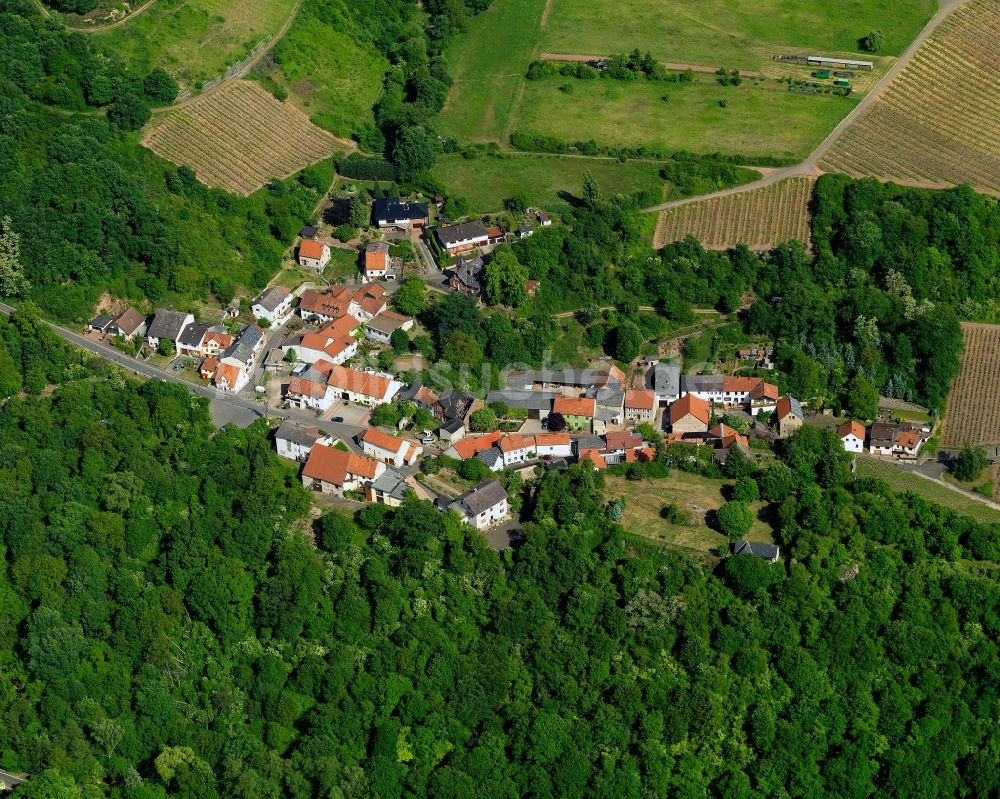 Schloßböckelheim aus der Vogelperspektive: Ortsansicht von Schloßböckelheim im Bundesland Rheinland-Pfalz