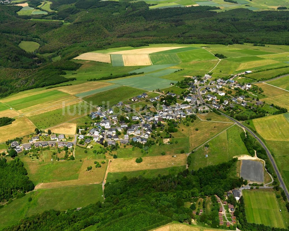 Luftbild Schneppenbach - Ortsansicht von Schneppenbach im Bundesland Rheinland-Pfalz