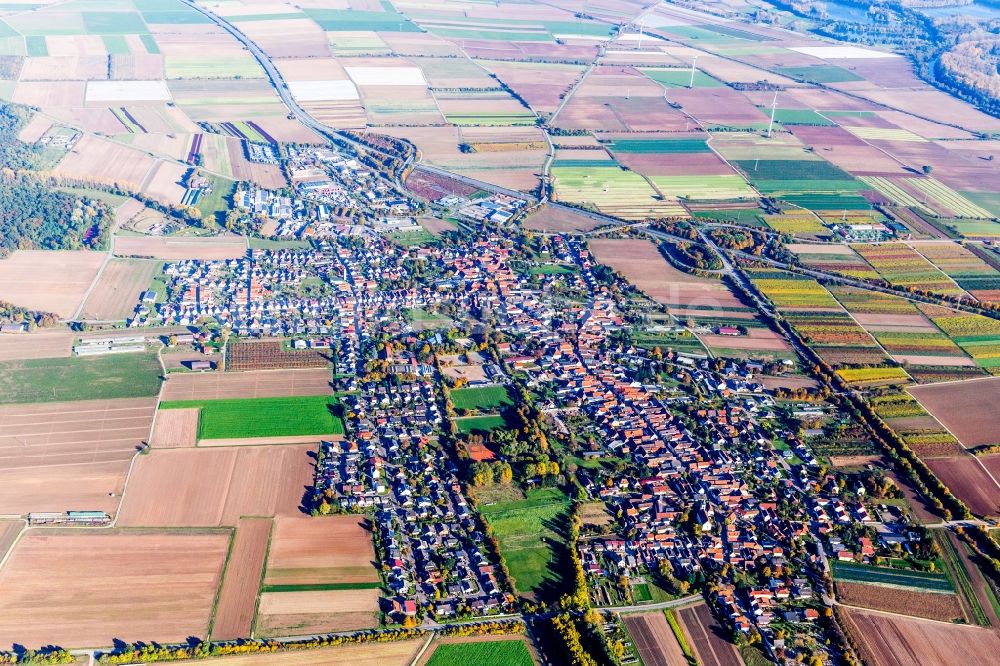 Luftbild Schwegenheim - Ortsansicht in Schwegenheim im Bundesland Rheinland-Pfalz, Deutschland