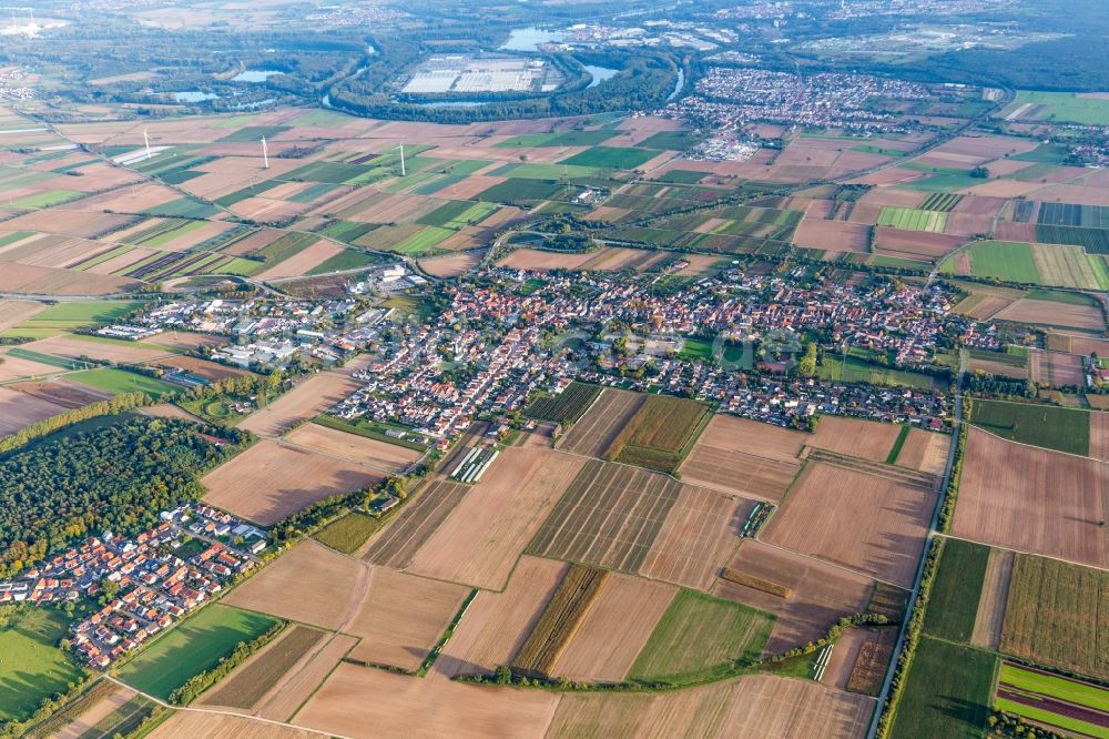 Luftaufnahme Schwegenheim - Ortsansicht in Schwegenheim im Bundesland Rheinland-Pfalz, Deutschland