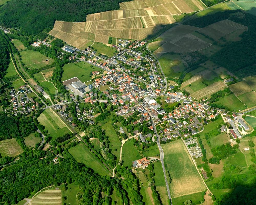 Schweppenhausen aus der Vogelperspektive: Ortsansicht von Schweppenhausen im Bundesland Rheinland-Pfalz