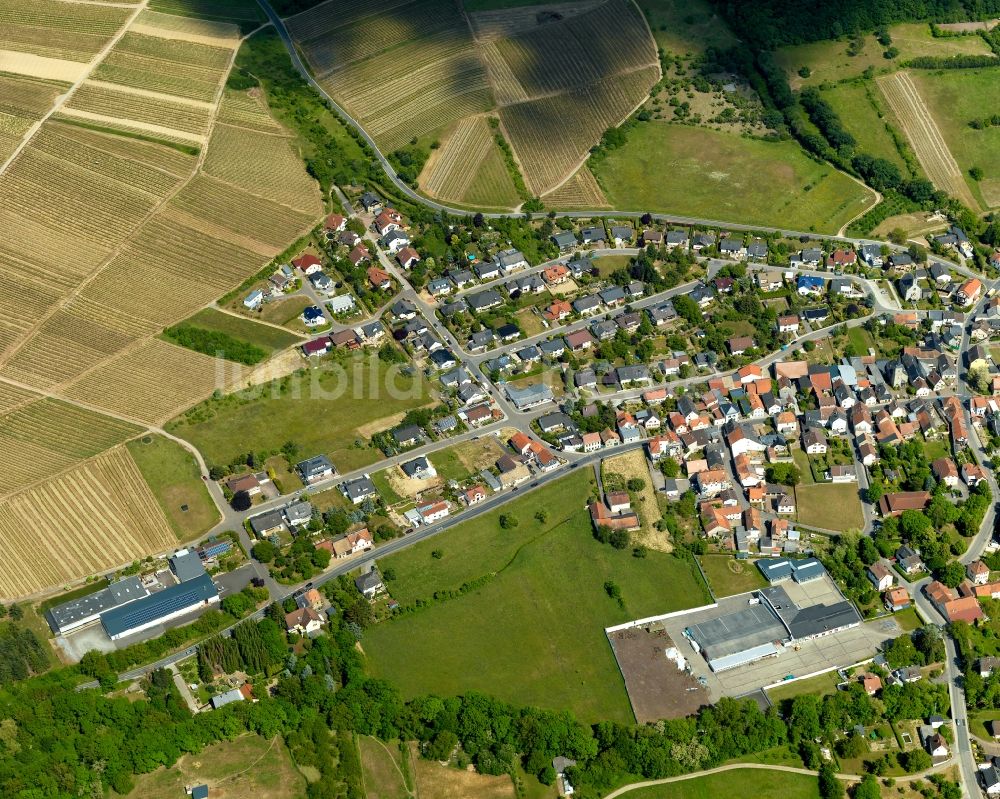 Schweppenhausen von oben - Ortsansicht von Schweppenhausen im Bundesland Rheinland-Pfalz