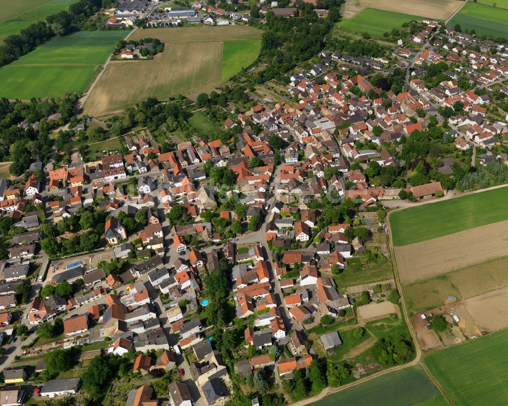 Luftaufnahme Selzen - Ortsansicht von Selzen im Bundesland Rheinland-Pfalz