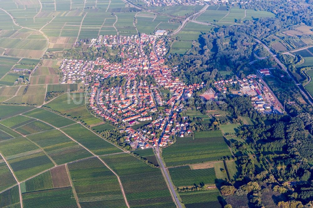 Luftaufnahme Siebeldingen - Ortsansicht in Siebeldingen im Bundesland Rheinland-Pfalz, Deutschland