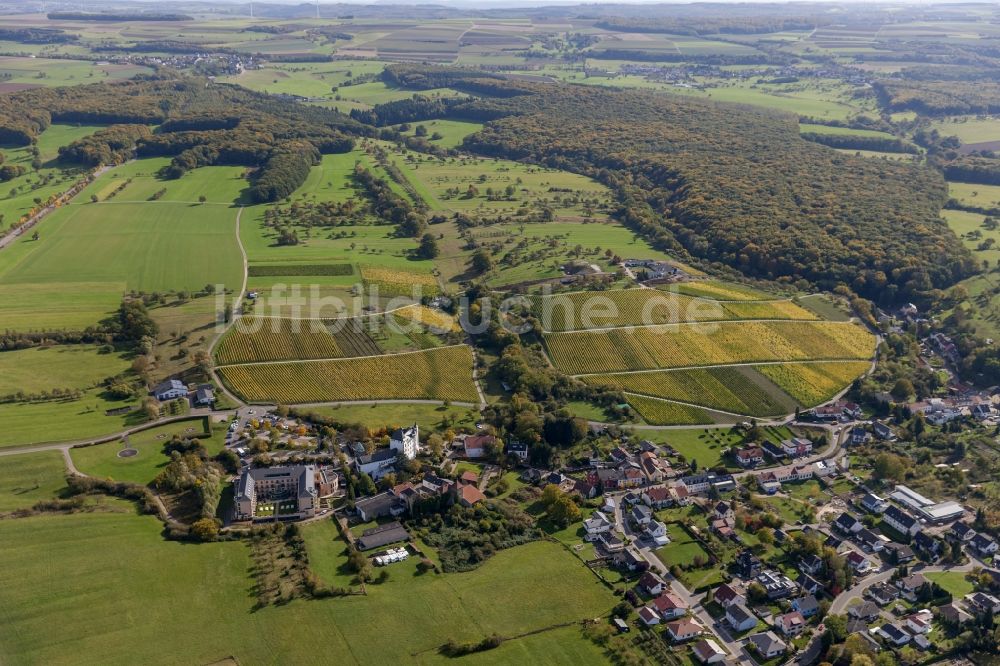 Luftaufnahme Perl OT Nennig - Ortsansicht des Stadtzentrums mit dem Schloßberg in Nennig im Bundesland Saarland