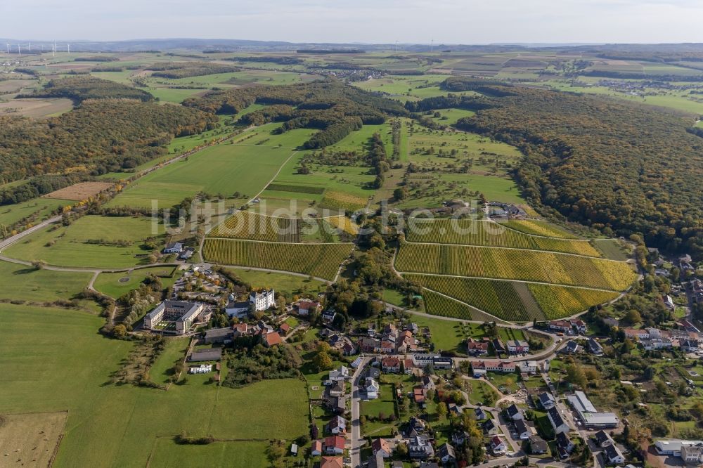 Perl OT Nennig von oben - Ortsansicht des Stadtzentrums mit dem Schloßberg in Nennig im Bundesland Saarland