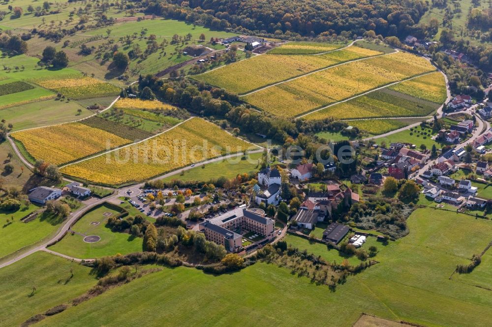 Perl OT Nennig von oben - Ortsansicht des Stadtzentrums mit dem Schloßberg in Nennig im Bundesland Saarland