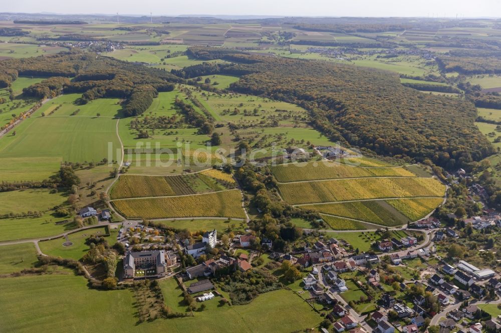 Perl OT Nennig aus der Vogelperspektive: Ortsansicht des Stadtzentrums mit dem Schloßberg in Nennig im Bundesland Saarland