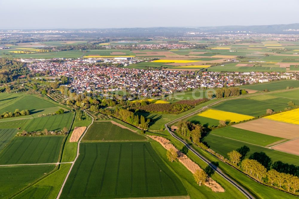 Luftbild Stockstadt am Rhein - Ortsansicht in Stockstadt am Rhein im Bundesland Hessen, Deutschland