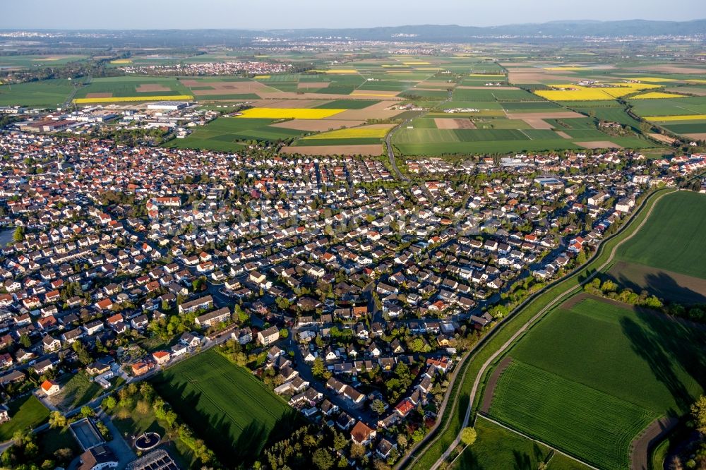 Luftaufnahme Stockstadt am Rhein - Ortsansicht in Stockstadt am Rhein im Bundesland Hessen, Deutschland