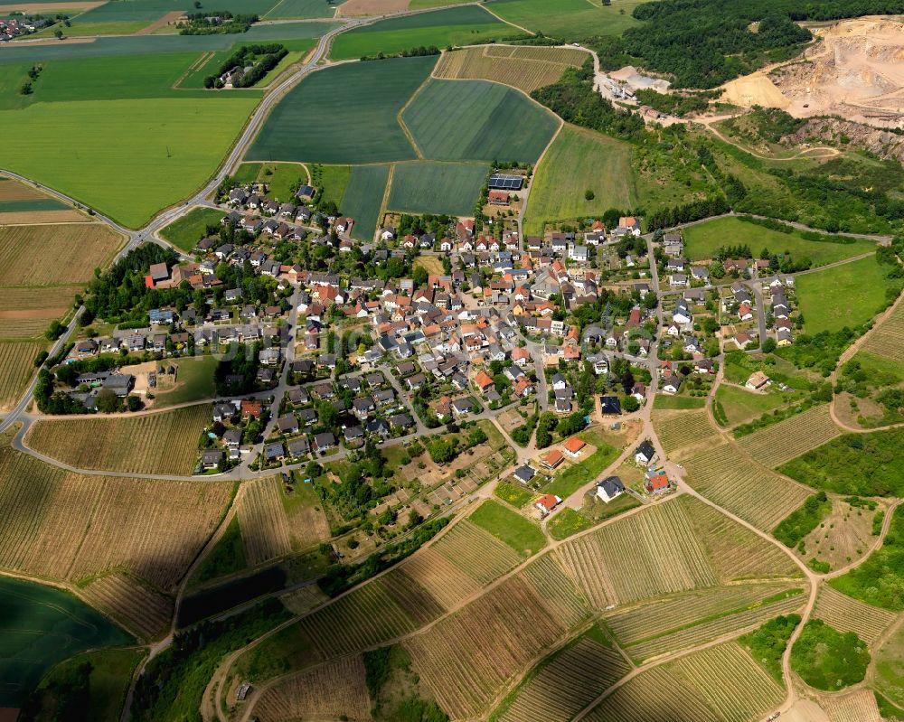 Luftaufnahme Traisen - Ortsansicht von Traisen im Bundesland Rheinland-Pfalz