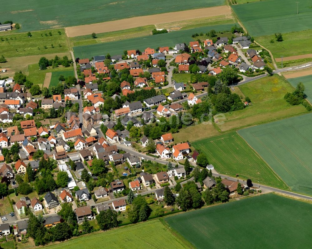 Traisen aus der Vogelperspektive: Ortsansicht von Traisen im Bundesland Rheinland-Pfalz