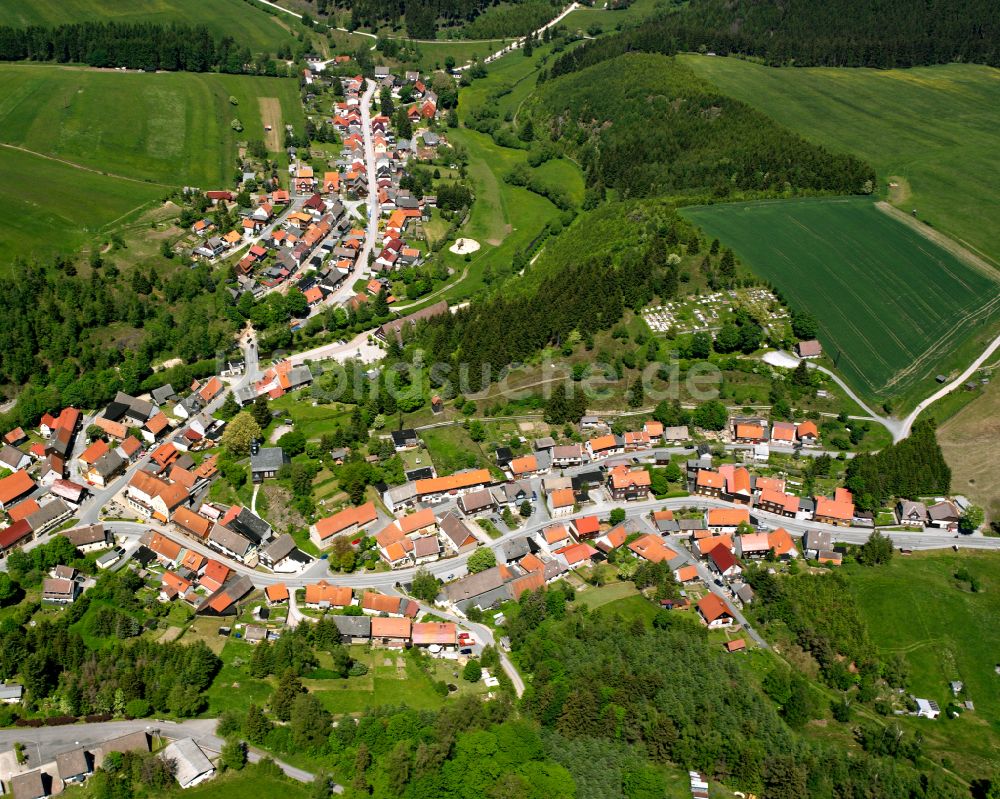 Luftaufnahme Trautenstein - Ortsansicht in Trautenstein im Bundesland Sachsen-Anhalt, Deutschland