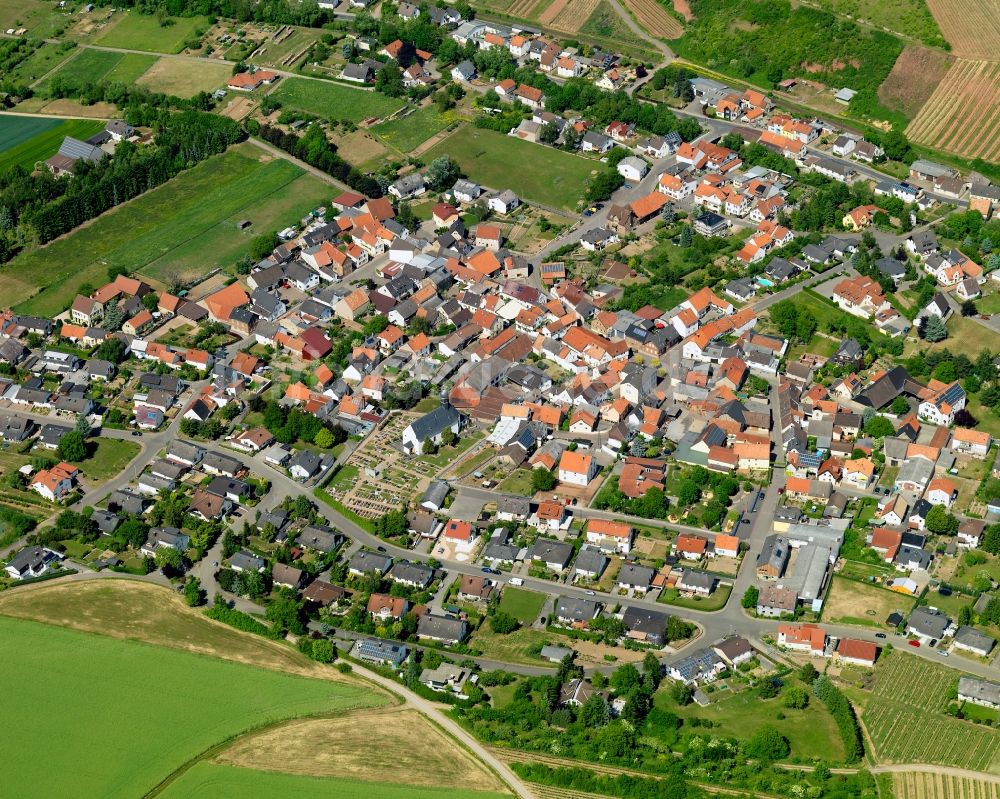 Guldental Waldhilbersheim aus der Vogelperspektive: Ortsansicht von Waldhilbersheim in Guldental im Bundesland Rheinland-Pfalz