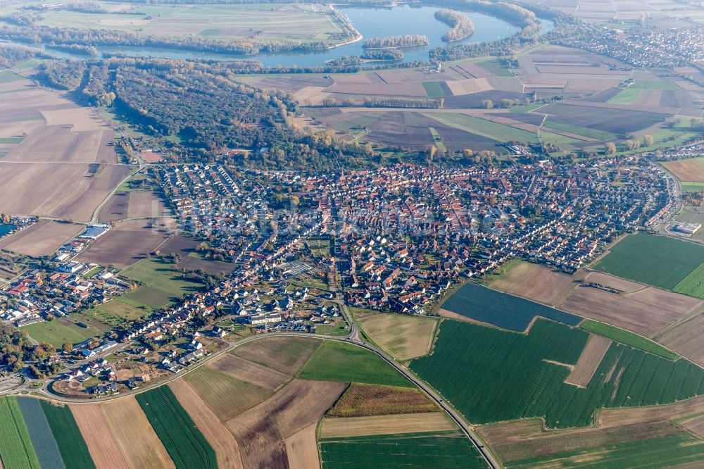 Waldsee aus der Vogelperspektive: Ortsansicht in Waldsee im Bundesland Rheinland-Pfalz, Deutschland