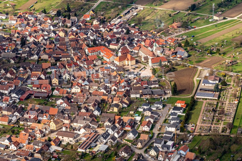 Wyhl am Kaiserstuhl von oben - Ortsansicht in Wyhl am Kaiserstuhl im Bundesland Baden-Württemberg, Deutschland