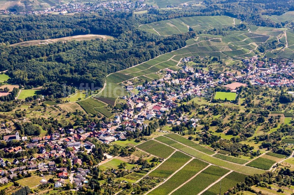 Offenburg von oben - Ortsansicht zwischen Weinbergen im Ortsteil Rammersweier in Offenburg im Bundesland Baden-Württemberg, Deutschland