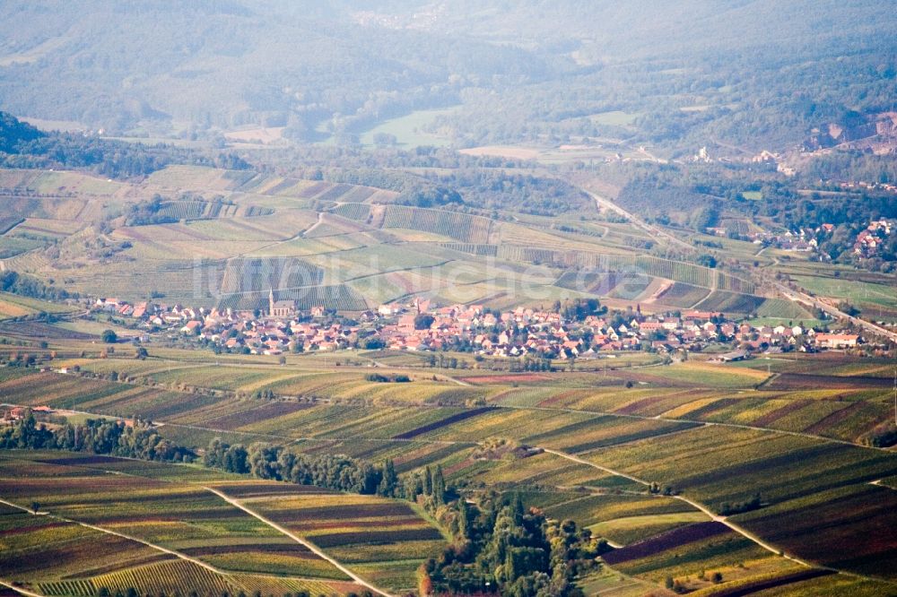 Luftbild Birkweiler - Ortsbereich am Weinbaugebiet in Birkweiler im Bundesland Rheinland-Pfalz, Deutschland