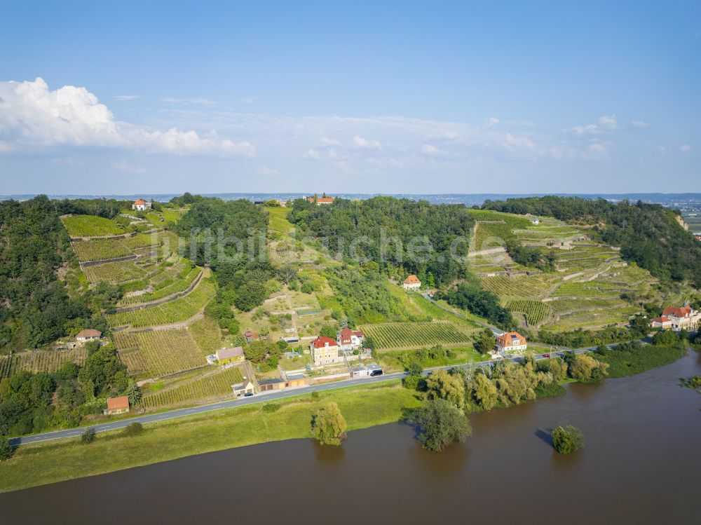 Scharfenberg von oben - Ortsbereich am Weinbaugebiet in Scharfenberg im Bundesland Sachsen, Deutschland