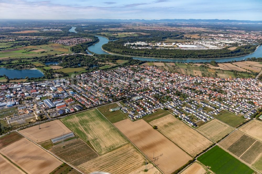 Altlußheim aus der Vogelperspektive: Ortschaft an den Fluss- Uferbereichen des Rhein in Altlußheim im Bundesland Baden-Württemberg, Deutschland