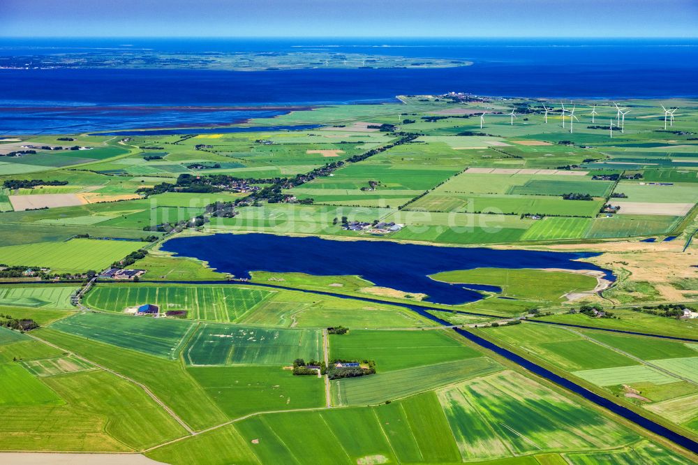 Dagebüll aus der Vogelperspektive: Ortskern am See Uferbereich Süder Waygaard im Bundesland Schleswig-Holstein, Deutschland