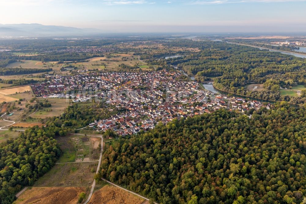 Plittersdorf aus der Vogelperspektive: Ortskern am Uferbereich des Altrhein - Flußverlaufes in Plittersdorf im Bundesland Baden-Württemberg, Deutschland