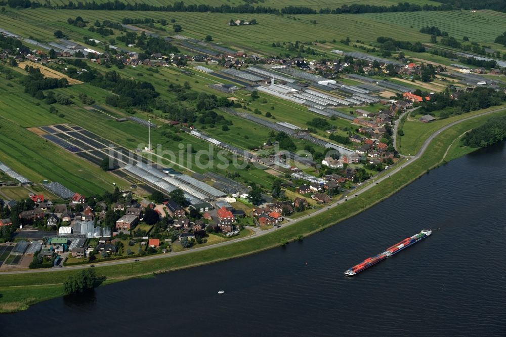 Hamburg Warwisch aus der Vogelperspektive: Ortskern am Uferbereich des Elbe - Flußverlaufes in Hamburg Warwisch im Bundesland Hamburg