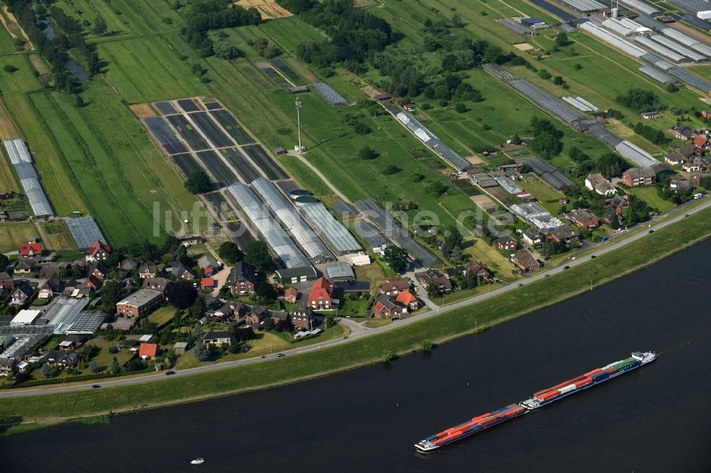 Hamburg Warwisch von oben - Ortskern am Uferbereich des Elbe - Flußverlaufes in Hamburg Warwisch im Bundesland Hamburg