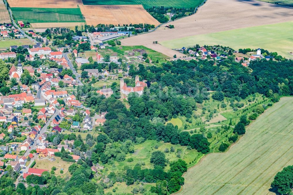 Strehla von oben - Ortskern am Uferbereich des Elbe - Flußverlaufes in Strehla im Bundesland Sachsen, Deutschland