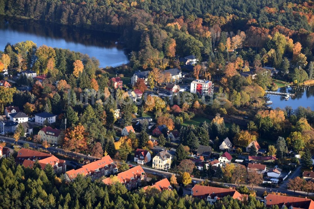 Grünheide (Mark) aus der Vogelperspektive: Ortskern am Uferbereich des Werlsee Peetzsee in Grünheide (Mark) im Bundesland Brandenburg