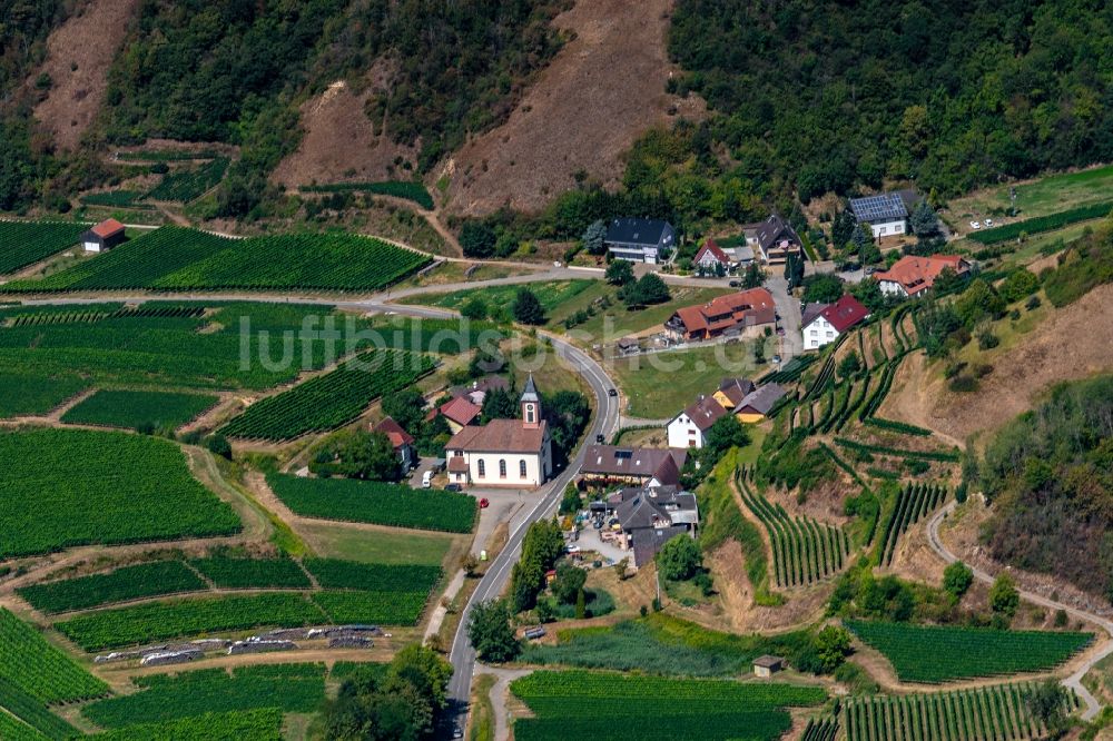 Vogtsburg im Kaiserstuhl aus der Vogelperspektive: Ortsteil Alt Vogtsburg in Vogtsburg im Kaiserstuhl im Bundesland Baden-Württemberg, Deutschland